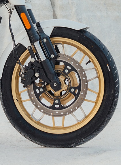 Gold rims with contrast cut details